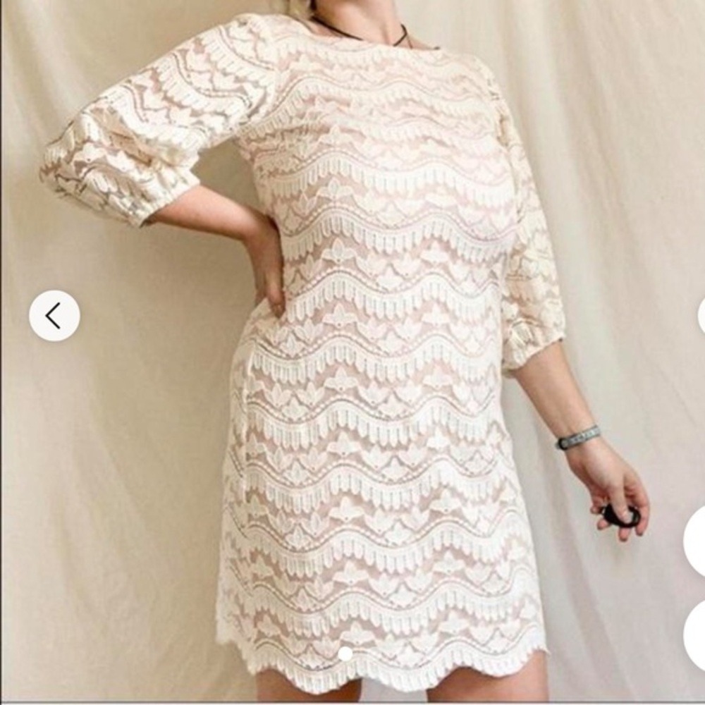 Eliza J Lace Shift Dress Womens 16W White Blush Scalloped 3/4 Sleeve EJ9W1814
